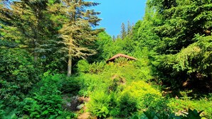 A lush garden with dense foliage and a small red-roofed structure. - Karpacz Kowary by Interhome (Karpacz)
