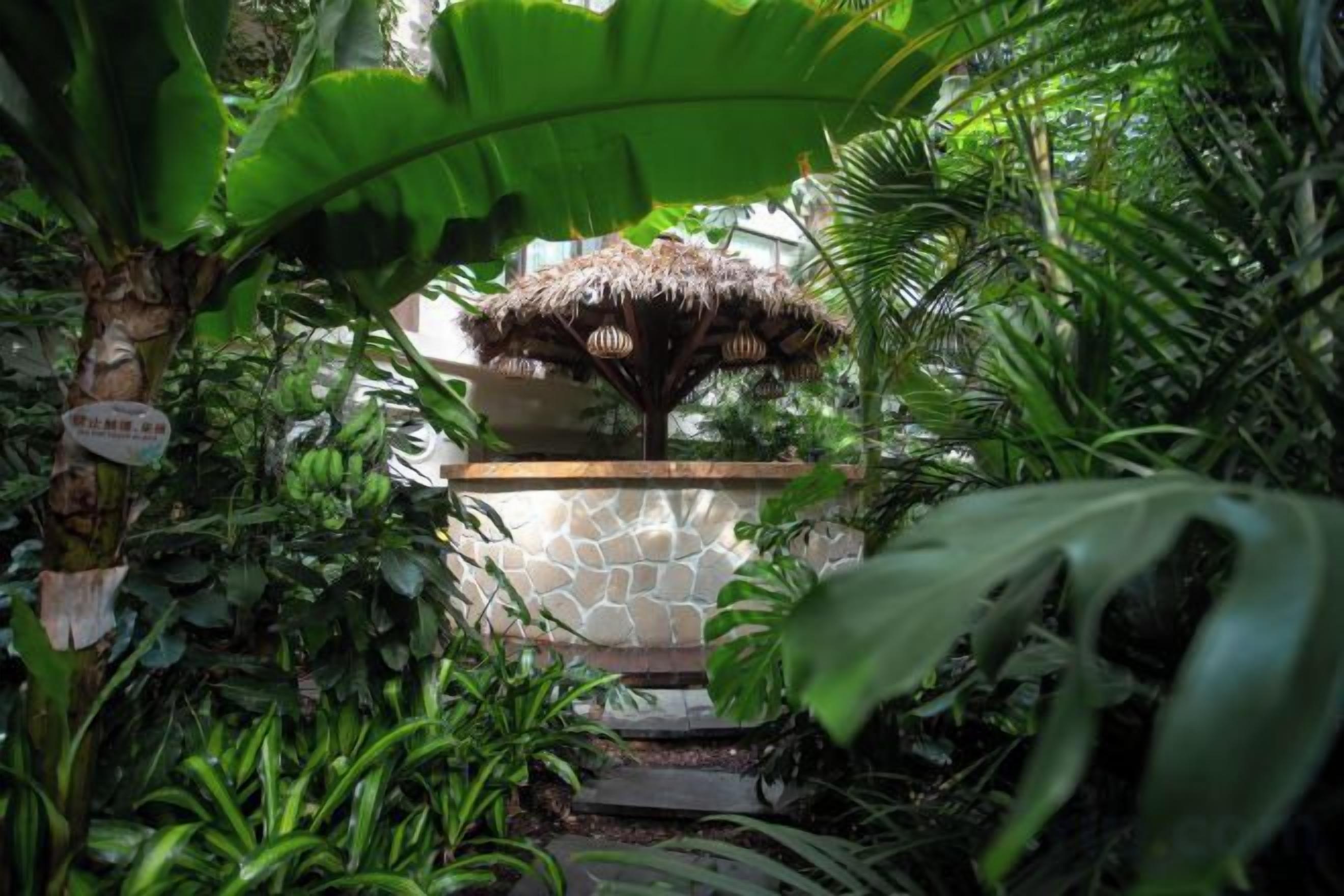 A garden with a stone planter and a thatched structure, surrounded by lush greenery.