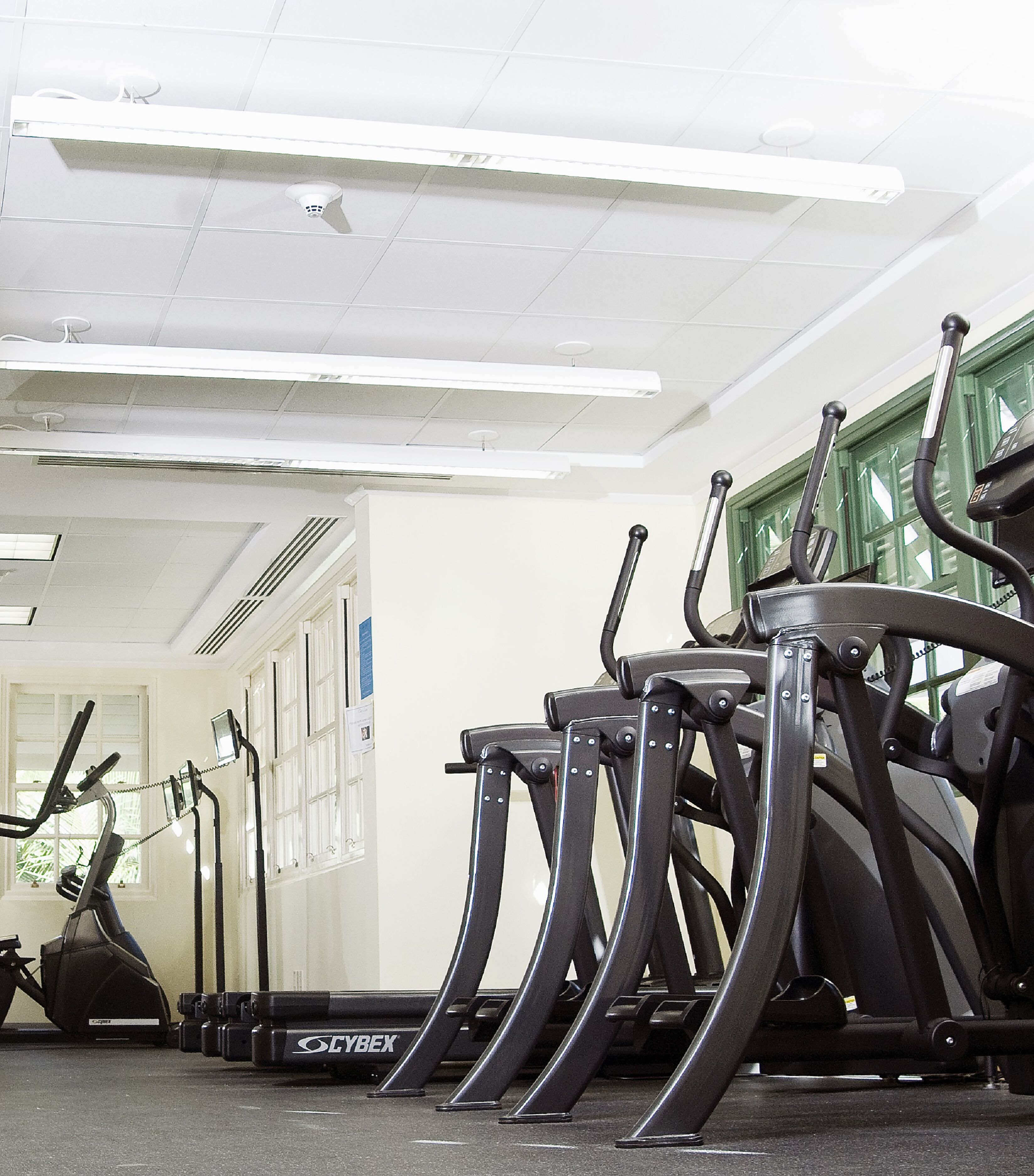 A row of stationary bikes in a gym with white walls and a ceiling with fluorescent lights.