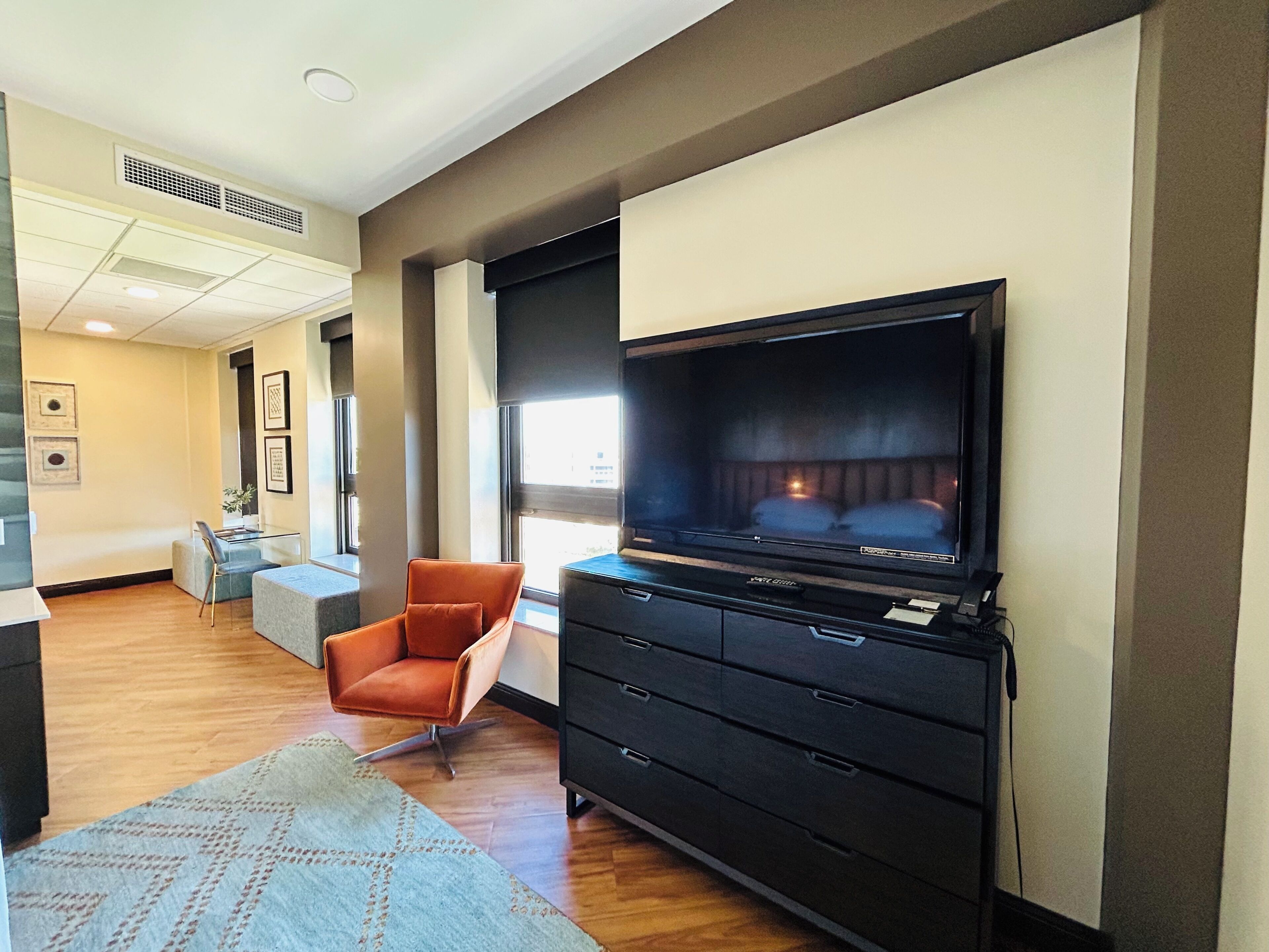 deluxe room, 1 king bed, river view (copper penny river view) | living area | flat-screen tv, netflix, hulu, pay films