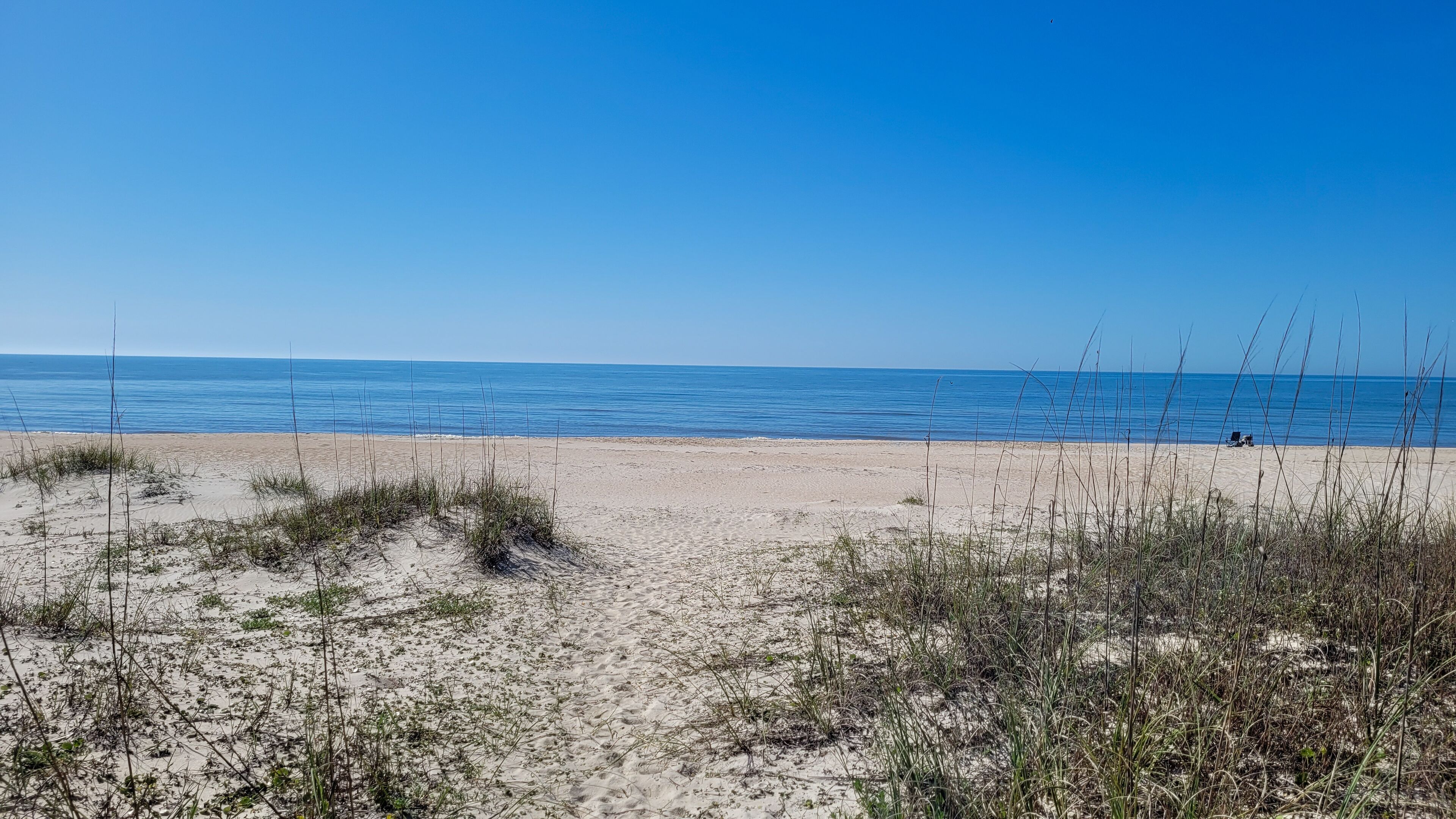A beach with sand and sparse vegetation, a clear blue sky, and calm water.