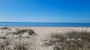 Une plage de sable avec une végétation clairsemée, un ciel bleu dégagé et une eau calme.