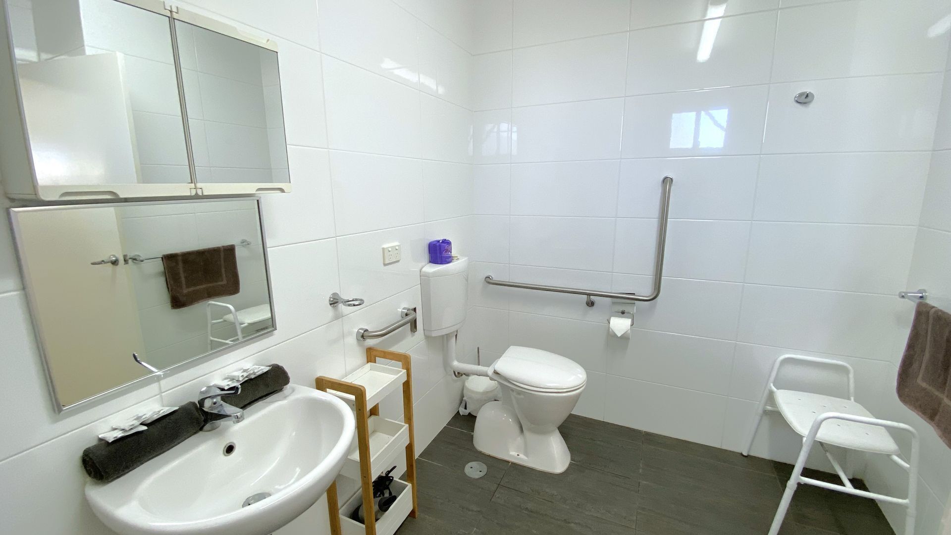 Une salle de bain moderne avec un lavabo blanc, un miroir, des toilettes et une douche adaptée aux personnes à mobilité réduite.
