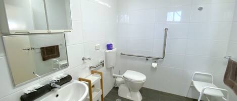 Une salle de bain moderne avec un lavabo blanc, un miroir, des toilettes et une douche adaptée aux personnes à mobilité réduite.