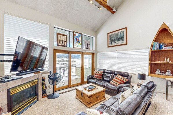 TV, fireplace, DVD player, books