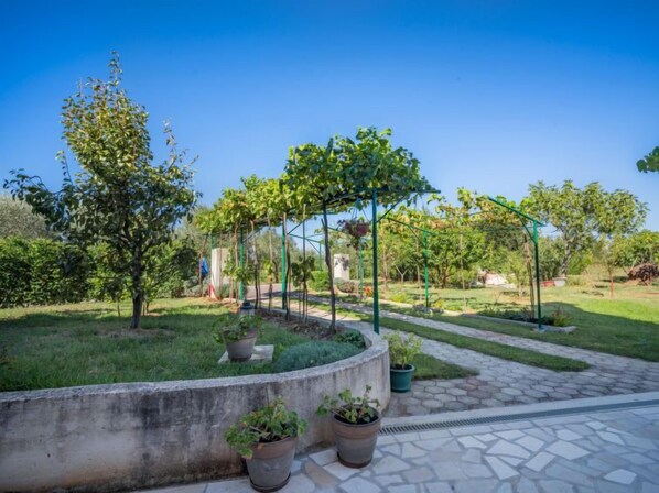 A garden with a stone pathway, potted plants, and a pergola structure.