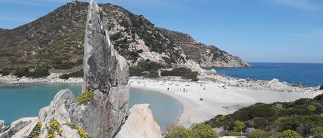 بالقرب من الشاطئ