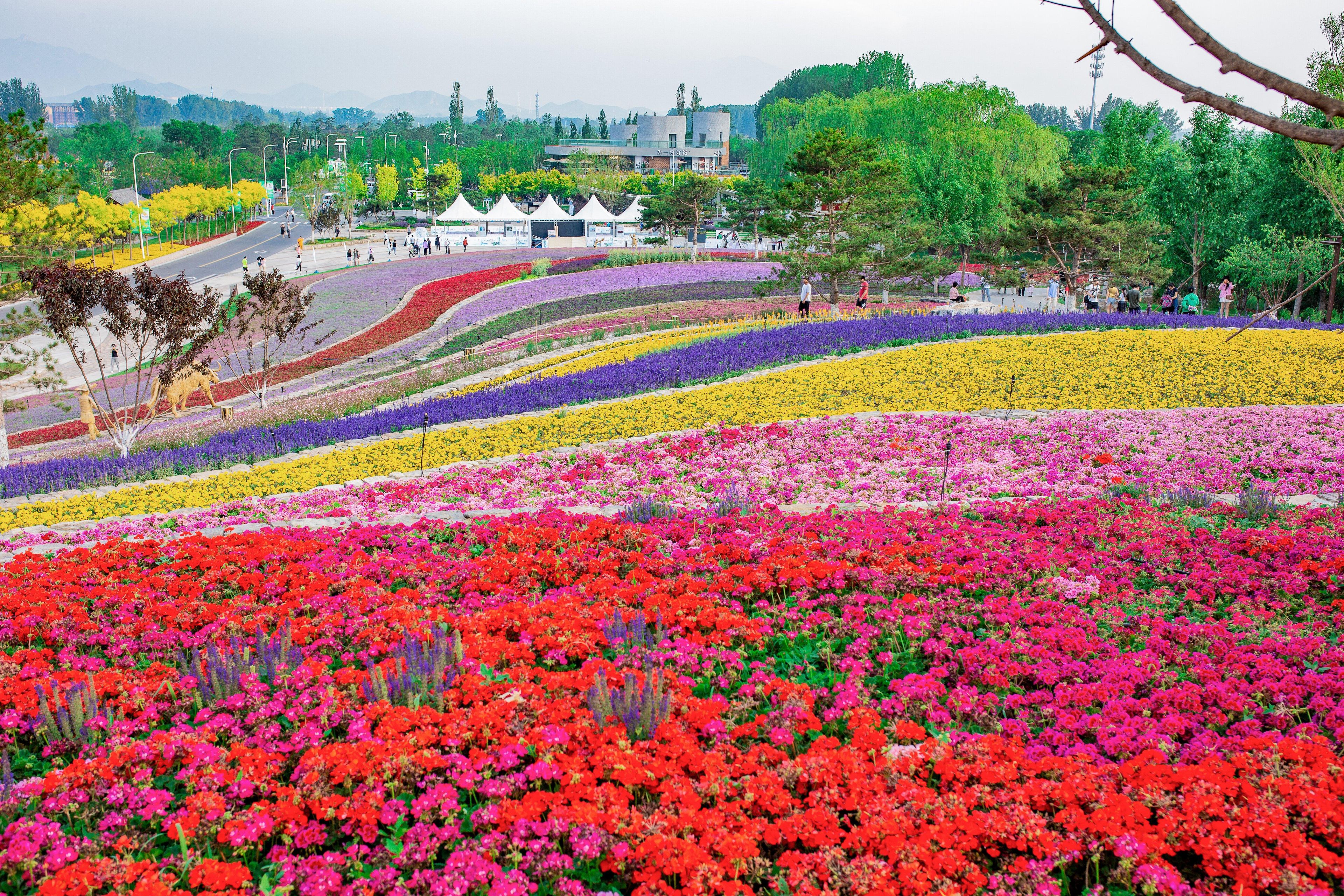 A landscaped garden with various flower beds and a road in the background.
