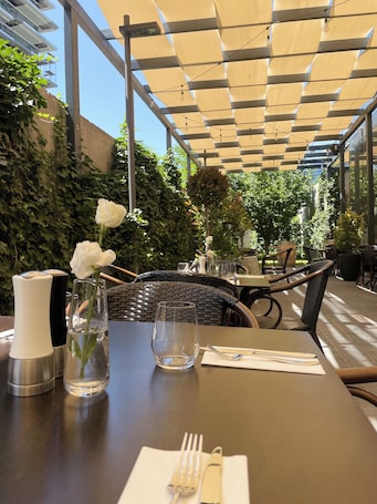 Garden. Courtyard by Marriott Bucharest Floreasca