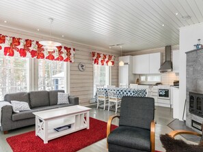 Televisor, llar de foc i reproductor de DVD 