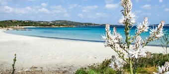 Gardenia by Interhome