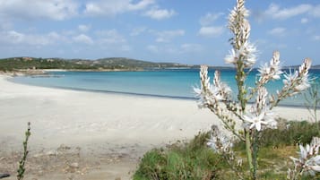 In Strandnähe