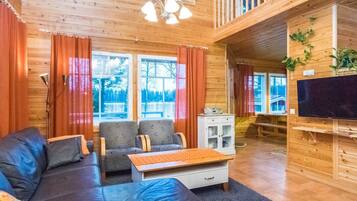 Televisio, DVD-soitin