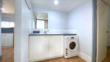 Une petite buanderie moderne, équipée d’un lave-linge, d’un évier et d’un miroir.