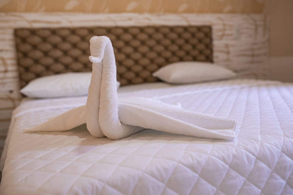 A neatly made bed with a white quilted bedspread and a brown headboard.