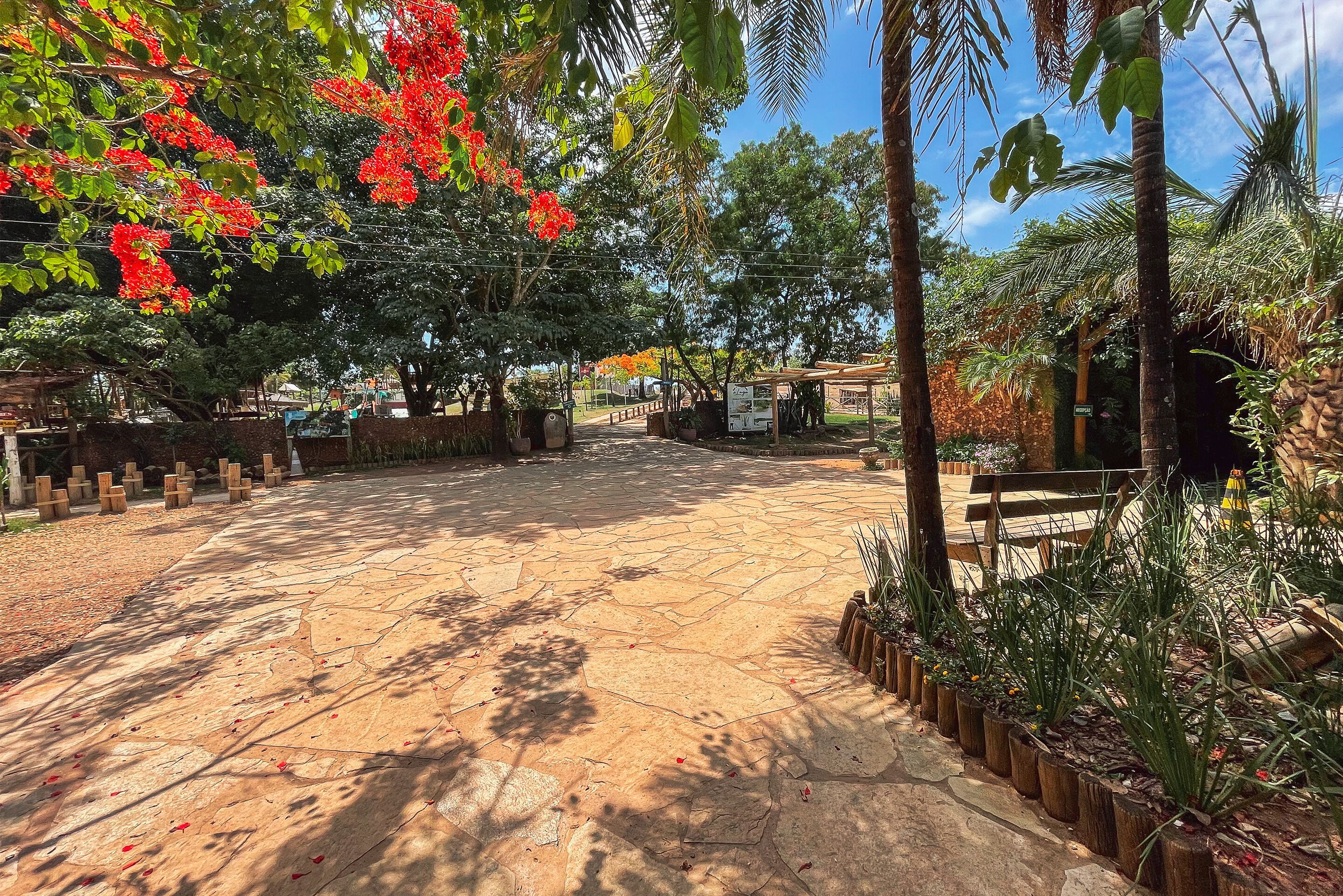 A paved courtyard with stone tiles, surrounded by tropical plants and trees, including a prominent red flowering tree.