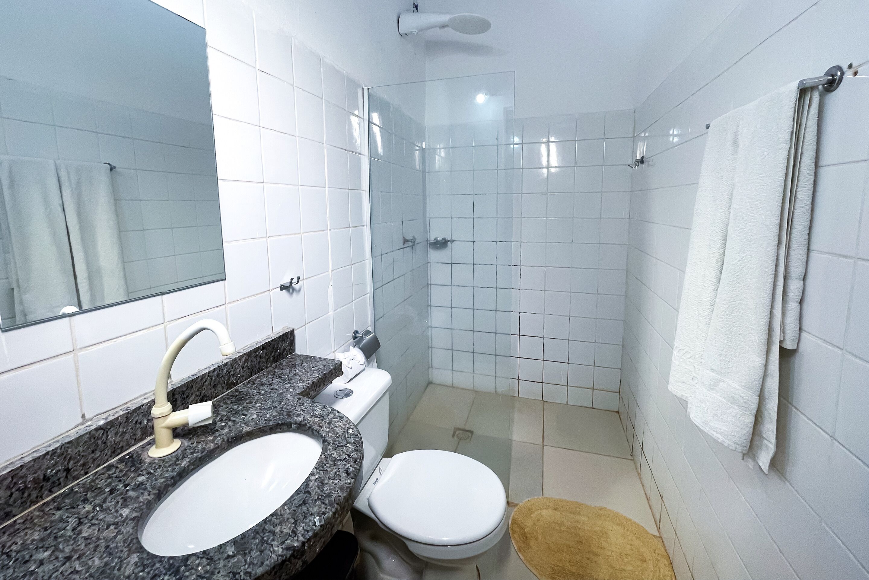 Une salle de bain avec un lavabo, des toilettes et une douche.