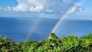 Vista de uma paisagem costeira com um arco-íris sobre o mar e vegetação exuberante em primeiro plano.