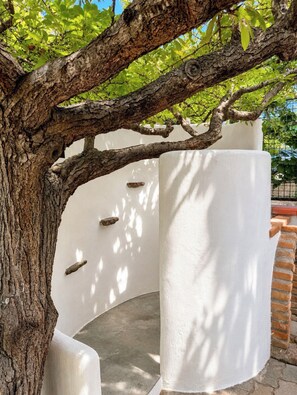 Un árbol con un tronco rugoso y ramas que se extienden sobre una pared blanca con un diseño curvo.