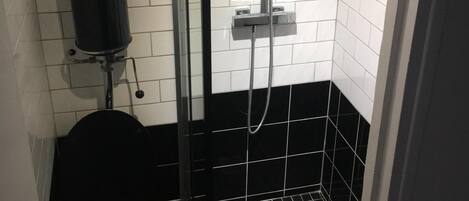 Séchoir à cheveux, serviettes fournies, shampooing, papier de toilette