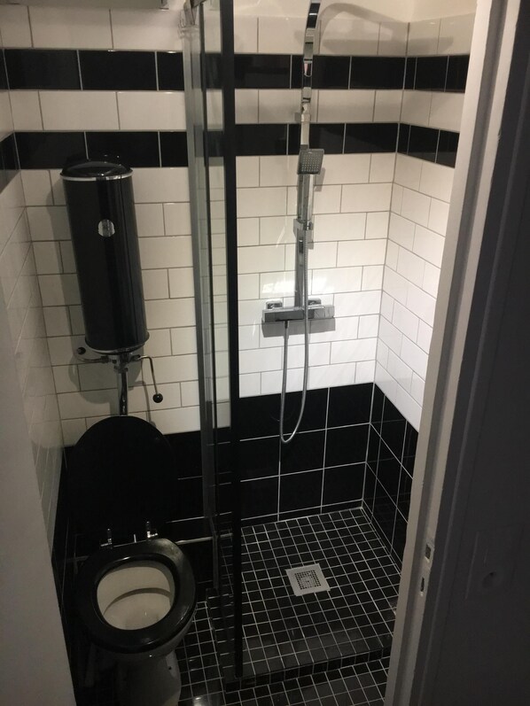 Hair dryer, towels, shampoo, toilet paper