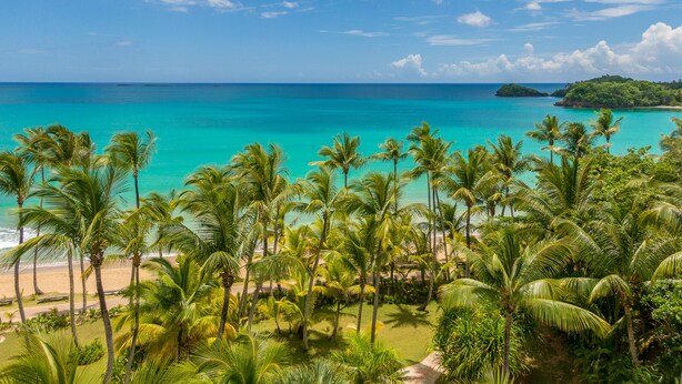A tropical beach with palm trees and a clear blue sky. -  Luxury villa Playa Bonita – beachfront, private pool, chef, 7 BR, sleeps 20 (Las Terrenas)