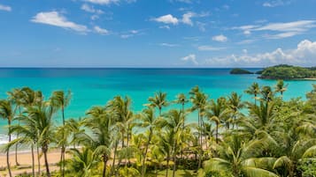 Plage, chaises longues, serviettes de plage