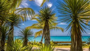 A tropical beach scene with palm trees and a clear view of the ocean. -  Luxury villa Playa Bonita – beachfront, private pool, chef, 7 BR, sleeps 20 (Las Terrenas)