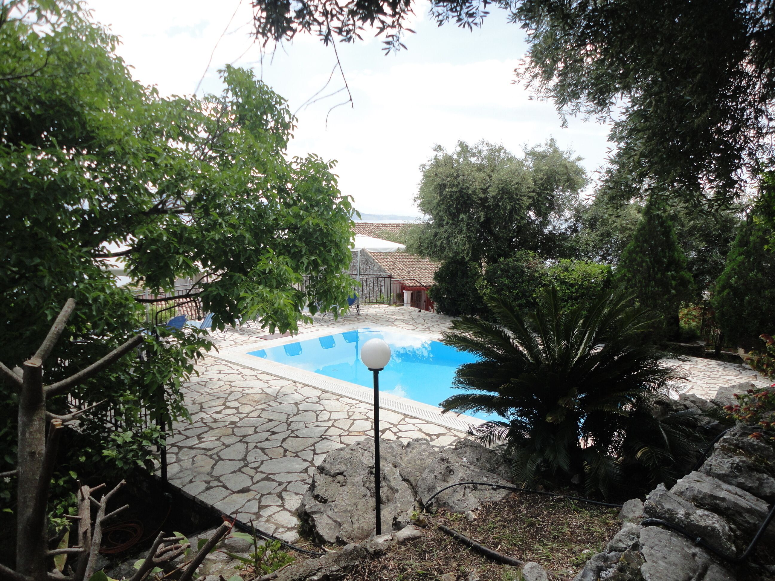 Una piscina rodeada de baldosas de piedra, con árboles y un farol al frente.
