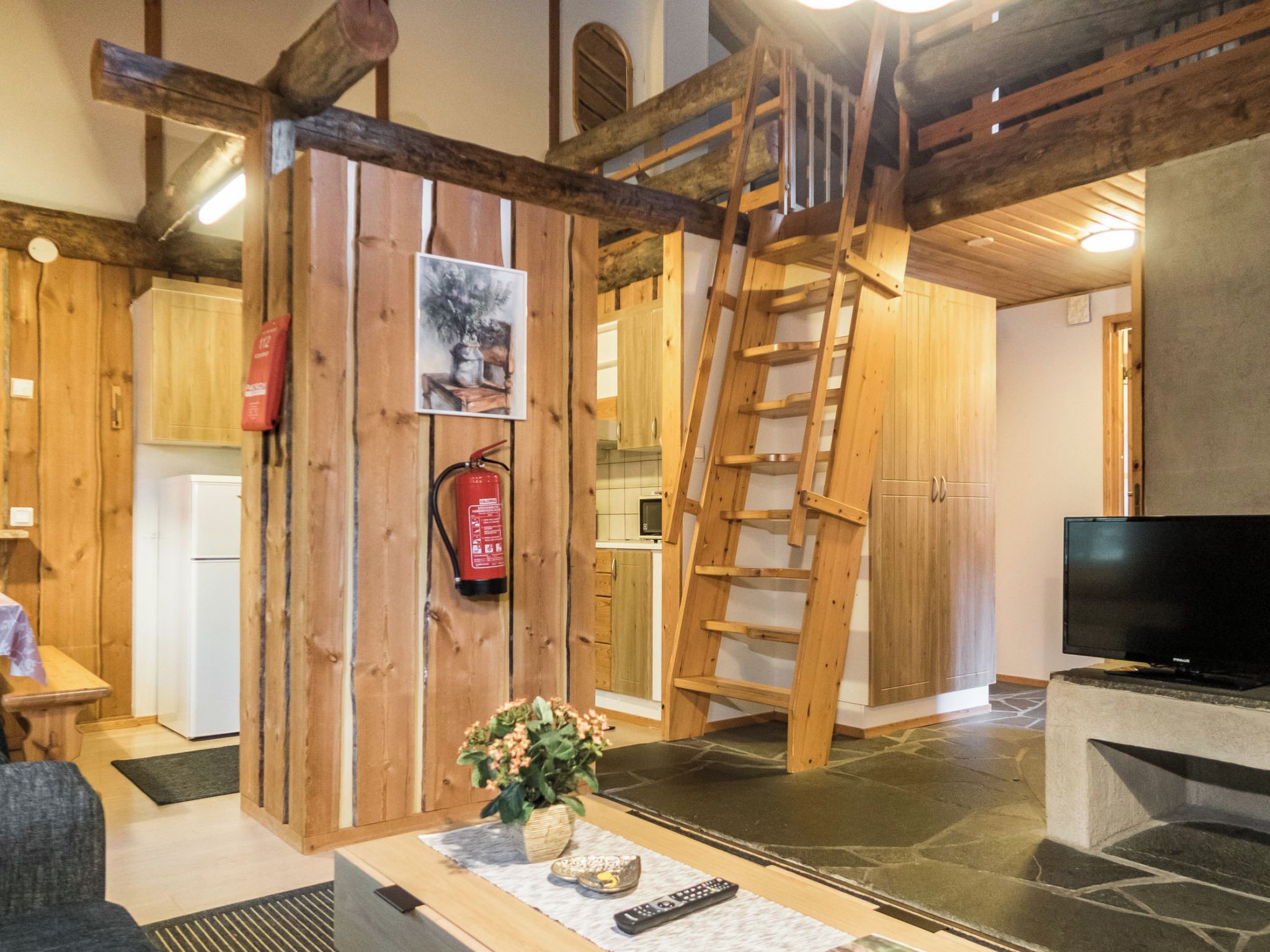 Un intérieur en bois avec une cheminée, un téléviseur et une échelle.