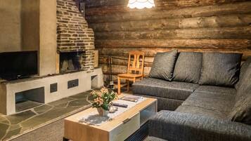 电视、DVD 播放器