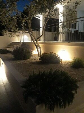 المنطقة المحيطة بالمنشأة