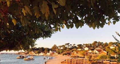 APPARTEMENT T1 "La Creperie"