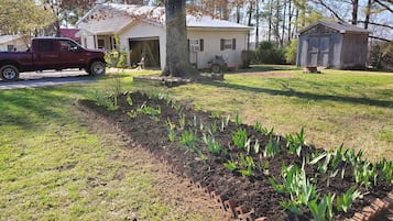 Parco della struttura