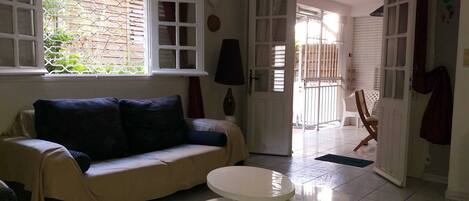 Smart TV, Netflix, books, streaming services