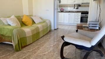 TV, DVD player, books, video library