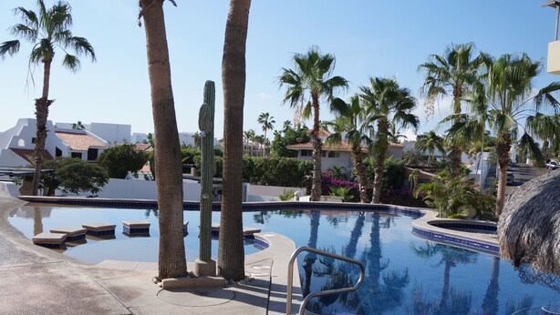 A pool area with palm trees, a cactus, and a building in the background. - La Costa 201 1 BR by Casago (San José del Cabo)