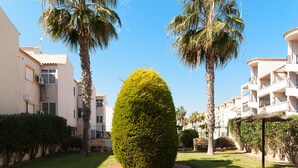 A well-maintained courtyard with a central bush, palm trees, and a pathway leading to a building with balconies.