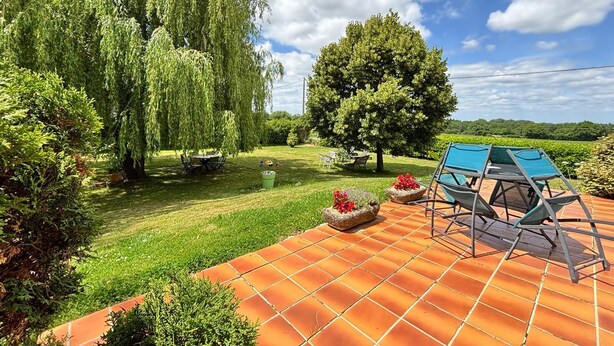 A patio with outdoor furniture, a large tree, and a well-maintained lawn.