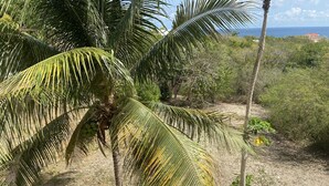Ein tropischer Garten mit Palmen, einem Steinweg und Blick auf den Ozean.