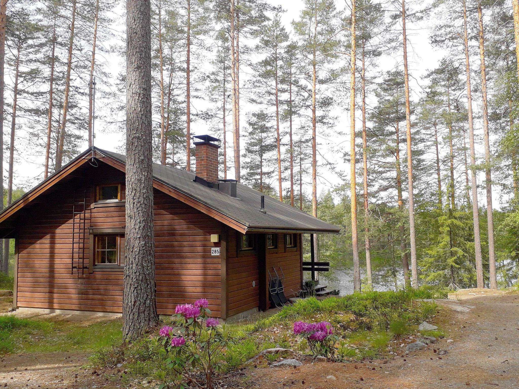 A cabin with a chimney, surrounded by tall pine trees.