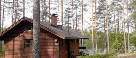 Una cabaña con chimenea, rodeada de altos pinos.