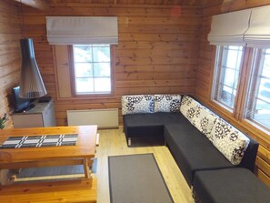 TV, fireplace, DVD player