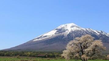 A mountain with a snow-capped peak and a single tree in the foreground.