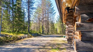A rustic cabin with a gravel path leading to a wooden deck, surrounded by tall pine trees.