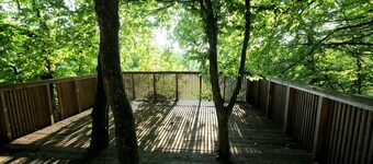 Expect the unexpected