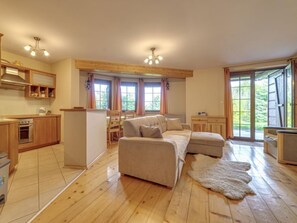 Télévision, cheminée, lecteur de DVD