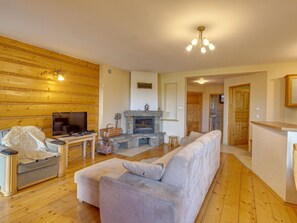 Télévision, cheminée, lecteur de DVD