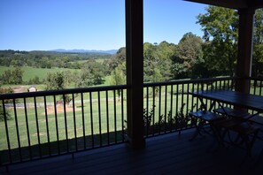 Outdoor dining - WHEATLAND INN, Farmhouse for adventure/relaxation
Sleeps 10. 3 bedrooms, 3 baths (Buchanan)