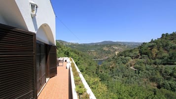 Área da propriedade